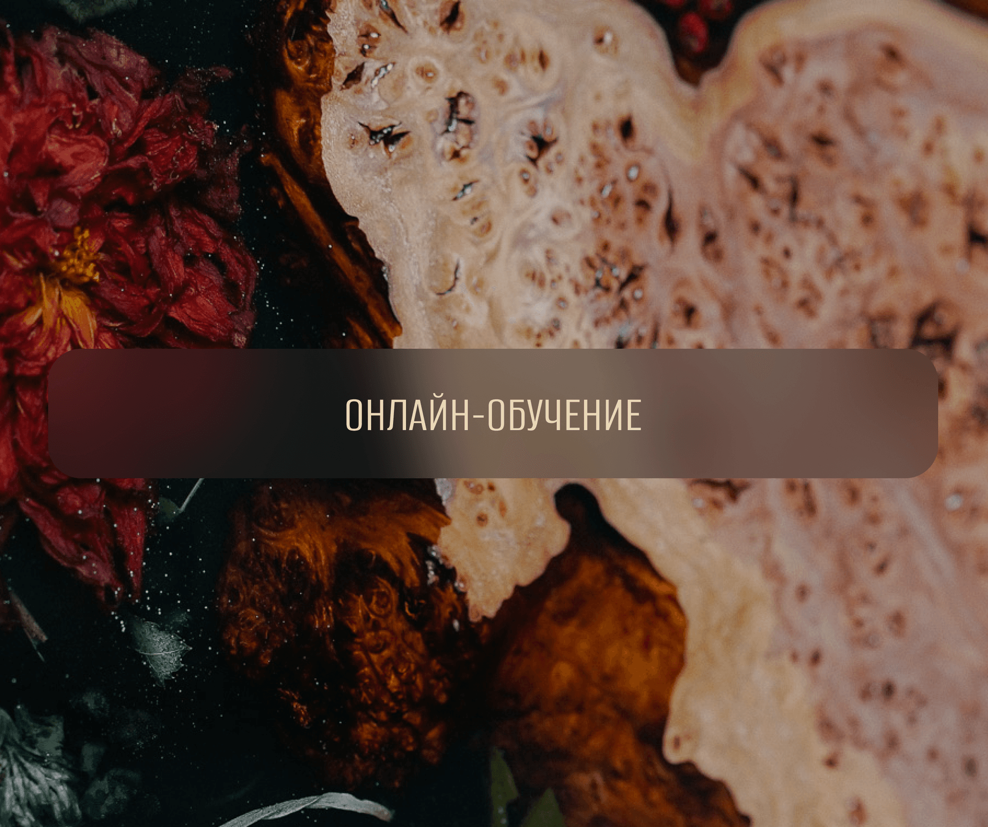 Обучение искусству смолы